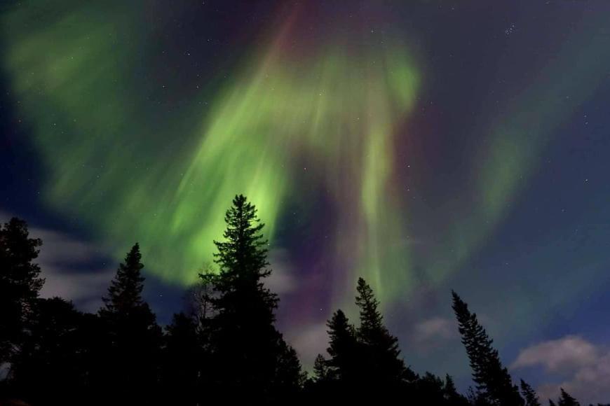 Graceland Norway Foldereid Bagian luar foto